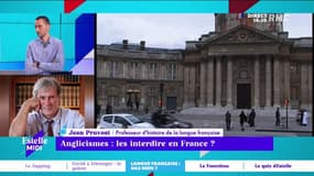 Anglicismes : les interdire en France ? "Souvent l'anglais est moins précis alors ça ne veut pas dire qu'il faut l'éliminer mais je trouve que l'Académie française fait un très bon rappel à l'ordre", évoque Jean Pruvost.