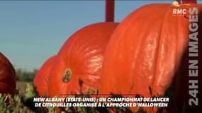 Avez vous deja vu des citrouilles volantes ? Maintenant oui !