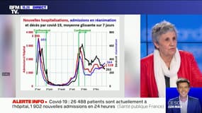 Pour l’épidémiologiste Catherine Hill, les nouvelles restrictions ne vont "pas casser la courbe"