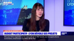 Lyon: les projets du budget participatif sont très variés