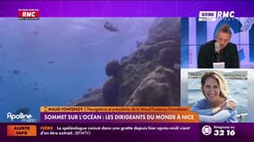 Protection des océans : "20.000 médicaments proviendraient du milieu marin"