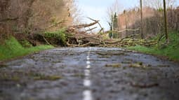  La route est bloquée par des arbres tombés après la tempête Goretti près de Sainte-Marie-du-Mont, dans la Manche, le 9 janvier 2026.