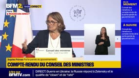 Présidence LR: l'intention de Bruno Retailleau "n'est pas de quitter le gouvernement", déclare Sophie Primas, porte-parole du gouvernement, en cas de victoire de celui-ci ce week-end
