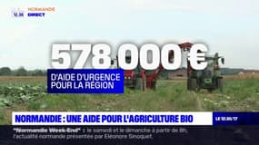 Normandie: une aide lancée pour le secteur de l'agriculture biologique