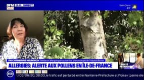 Se doucher le soir, aérer son logement tôt le matin... les conseils de Catherine Neukirch, médecin allergologue, en cette période d'alerter rouge aux pollens en Ile-de-France