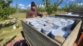 Les arboriculteurs de la Drôme se préparent avant le retour du froid et du gel.