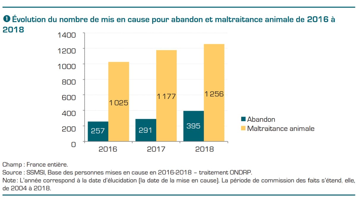 Évolution du nombre de mis en cause pour abandon et maltraitance animale de 2016 à 2018