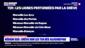 Coupe du monde de rugby: une grève sur les TER en Provence-Alpes-Côte d'Azur