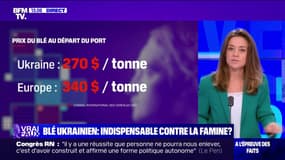 LA VÉRIF - Le blé ukrainien est-il indispensable contre la famine ?