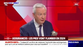 Bruno Le Maire: "Les chèques carburant, c'est fini"