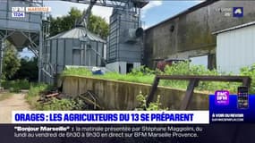 Orages dans les Bouches-du-Rhône: les agriculteurs se préparent