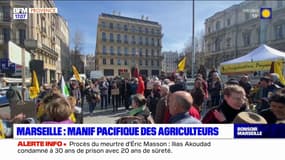 Marseille: une manifestation pacifique d'agriculteurs devant la préfecture