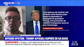 Affaire Epstein: "Donald Trump est toujours dans l'excès et dans l'exagération, mais c'est sa manière de riposter", analyse Sébastien Boussois