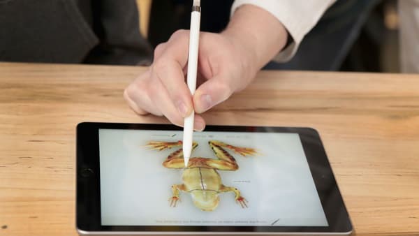 Froggipedia avait été utilisée pour la présentation des iPad le 27 mars 2018 Froggipedia avait été utilisée pour la présentation des iPad le 27 mars 2018