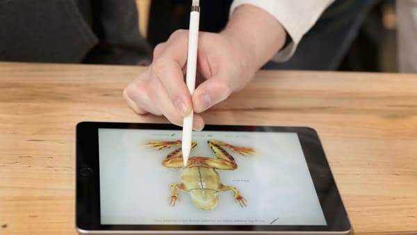 Froggipedia avait été utilisée pour la présentation des iPad le 27 mars 2018