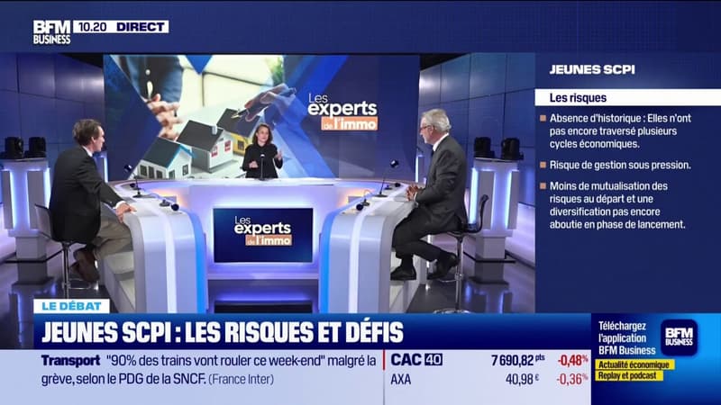 Jeunes SCPI : les risques et défis
