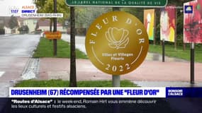 Bas-Rhin: la commune de Drusenheim récompensée de la prestigieuse "fleur d'or"