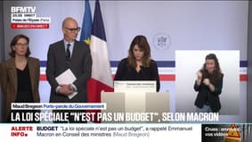 En l'absence de budget adopté, "80.000 dossiers déposés verront leur instruction retardée", décrit Maud Bregeon, porte-parole du gouvernement