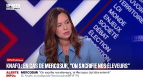 Budget 2026: "J'ai établi un contre-budget qui propose 80 milliards d'économies", déclare Sarah Knafo, eurodéputée "Reconquête"