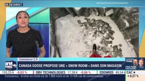 Commerce 2.0: Canada Goose propose une "Snow Room" dans son magasin, par Anissa Sekkai - 18/02