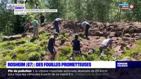 Bas-Rhin: des fouilles archéologiques en forêt de Rosheim