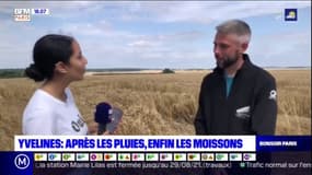 Yvelines: les agriculteurs soulagés du retour du soleil
