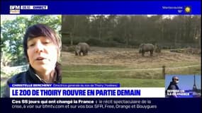 Yvelines: au zoo de Thoiry, "une quarantaine de naissances" ont eu lieu durant le confinement