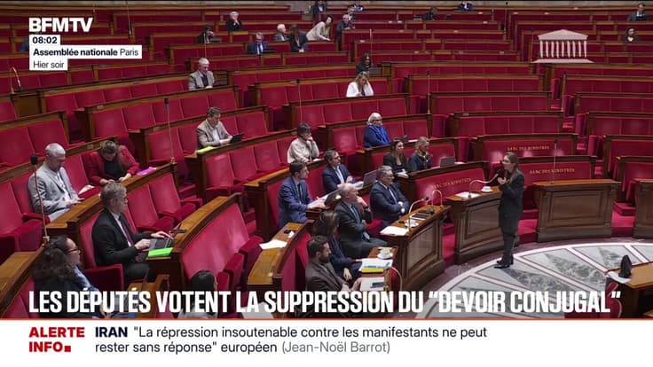 Les députés de l'Assemblée nationale ont voté à l'unanimité la fin du "devoir conjugal"
