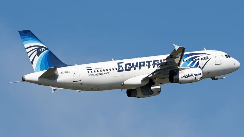 Egypt Air a accumulé plus d'1 milliard de dollars de pertes depuis l'exercice 2010-2011