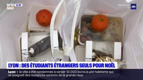 Lyon: des étudiants étrangers seuls pour Noël