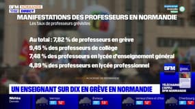 Environ un enseignant sur dix a fait grève ce mardi à travers la Normandie