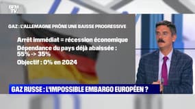 Gaz russe : l'impossible embargo européen ? - 02/05 