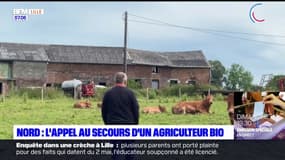 Nord: un agriculteur bio lance une cagnotte pour sauver sa ferme