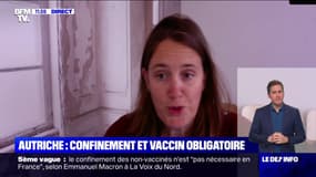 Covid-19: l'Autriche devient le premier pays de l'Union européenne à imposer le vaccin à sa population