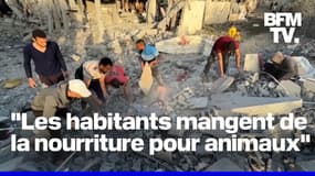 Pour Médecins sans frontières, Israël crée les conditions pour une "éradication des Palestiniens" à Gaza