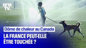 Dôme de chaleur au Canada: la France peut-elle être touchée ?