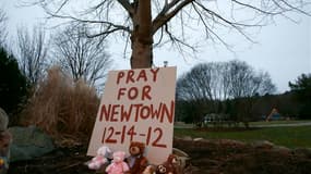 Après Newtown, le débat sur les armes à feu est une nouvelle fois relancé aux Etats-Unis