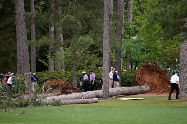 La chute d'un arbre massif au Masters d'Augusta, le 7 avril 2023