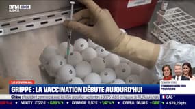Grippe: la campagne de vaccination débute, y aura-t-il assez de vaccins?