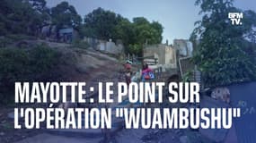 Mayotte: la porte-parole du ministère de l'Intérieur fait le point sur l'opération "Wuambushu"