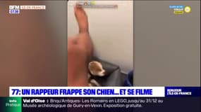Seine-et-Marne: un rappeur se filme en train de frapper son chien sur les réseaux sociaux