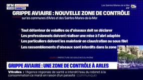 Grippe aviaire: une nouvelle zone de contrôle à Arles