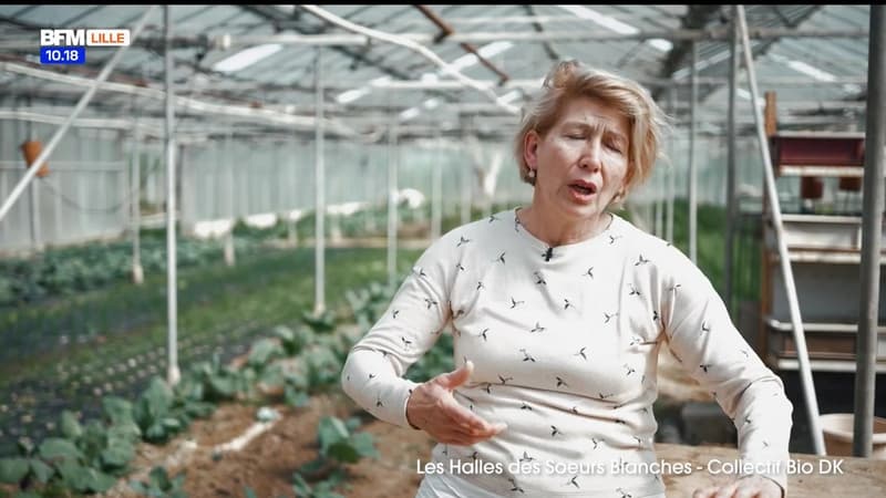 Dunkerque, un Cœur qui bat du lundi 19 mai 2025 : Les Halles des Sœurs Blanches - Collectif Bio DK