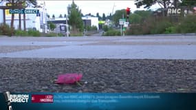 Accident à Lorient: que sait-on sur le conducteur toujours en fuite?