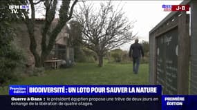 "Mission Nature": un loto pour préserver des projets de protection de la biodiversité