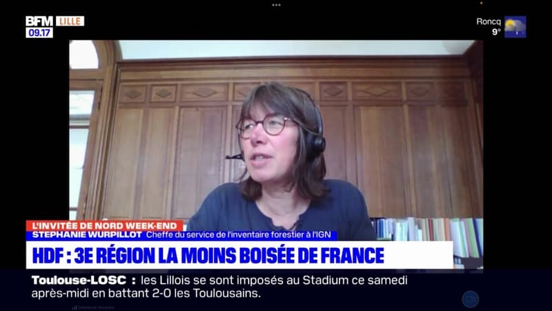 Hauts-de-France: pourquoi la région est l'une des moins boisées de France