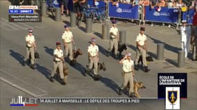 14 juillet à Marseille: l'équipe cynophile de l'école militaire de Draguignan défile parmi les troupes à pied