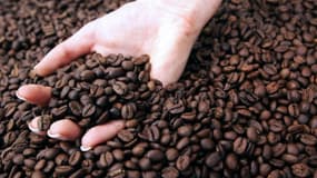 Après utilisation, les déchets de café pourraient trouver une seconde vie comme biocarburant.