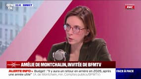 Pour Amélie de Montchalin, ministre des Comptes publics, le PS reste “dans l’opposition”