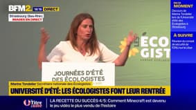 "Dirigeants politiques profondément irresponsables": Marine Tondelier s'attaque au gouvernement à Strasbourg
